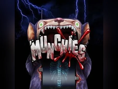 wt-nolimit cover image jpg