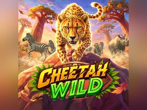 wt-pp cover image jpg