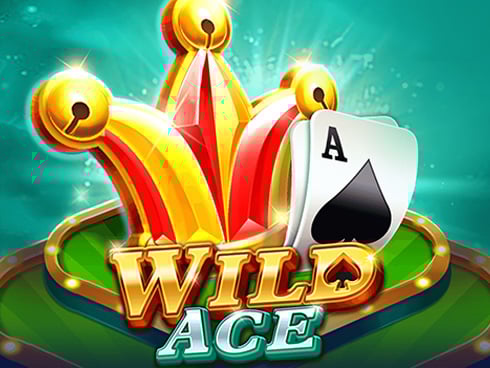 Wild Ace Game Image