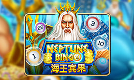 wt-jk cover image jpg