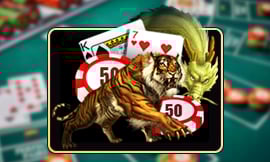 wt-jk cover image jpg