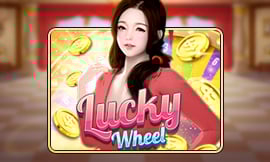 wt-jk cover image jpg