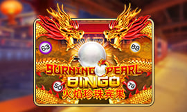 wt-jk cover image jpg