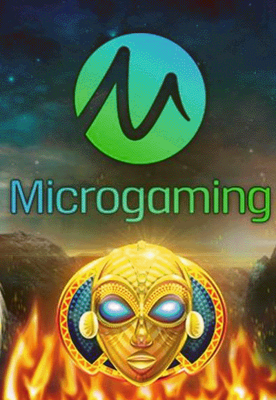 wt-microgaming cover image png