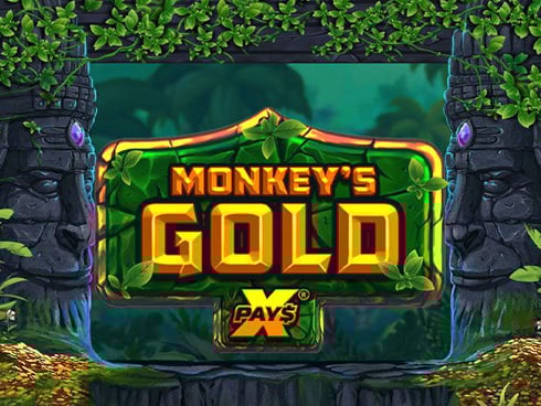 wt-nolimit cover image jpg