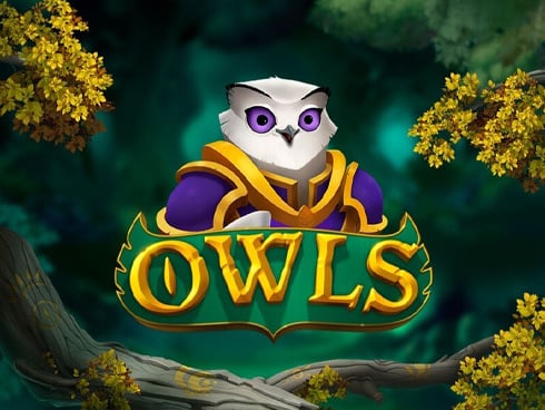 wt-nolimit cover image jpg