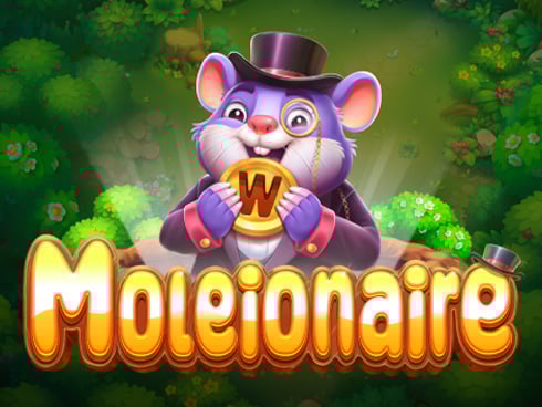 wt-pp cover image jpg