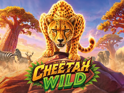 wt-pp cover image jpg