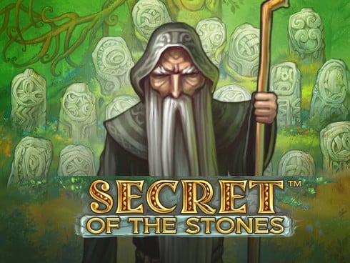 wt-ne cover image jpg