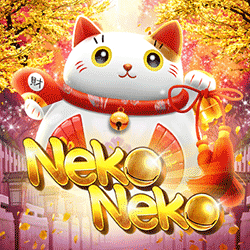 wt-hotd cover image jpg