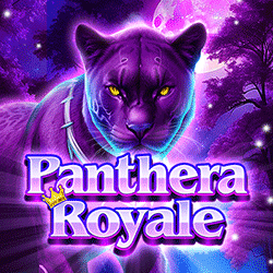 wt-hotd cover image jpg