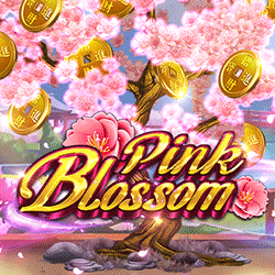 wt-hotd cover image jpg