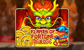 wt-jk cover image jpg