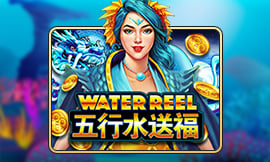 wt-jk cover image jpg