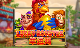 wt-jk cover image jpg