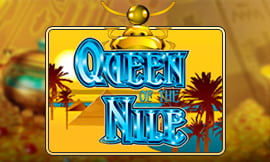 wt-jk cover image jpg