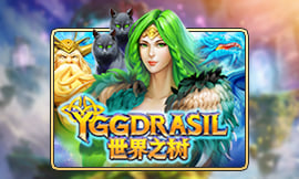 wt-jk cover image jpg