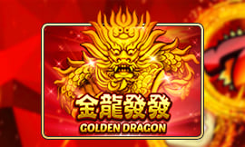 wt-jk cover image jpg