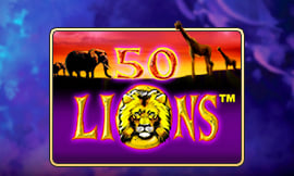 wt-jk cover image jpg