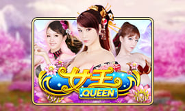 wt-jk cover image jpg