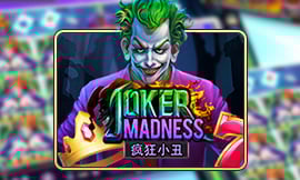 wt-jk cover image jpg