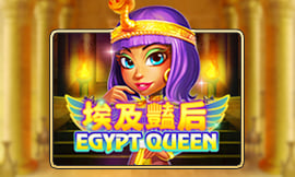 wt-jk cover image jpg