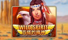 wt-jk cover image jpg