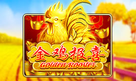 wt-jk cover image jpg