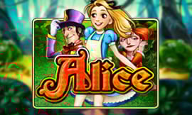 wt-jk cover image jpg