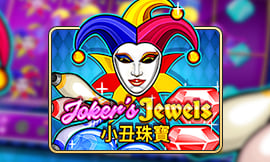 wt-jk cover image jpg