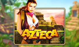 wt-jk cover image jpg