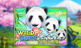 wt-jk cover image jpg