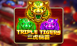 wt-jk cover image jpg