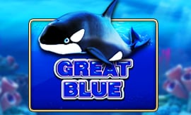 wt-jk cover image jpg