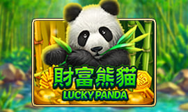 wt-jk cover image jpg