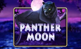 wt-jk cover image jpg