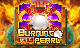 wt-jk cover image jpg