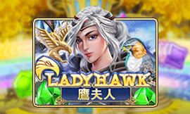 wt-jk cover image jpg