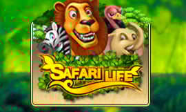 Safari Life Game Image