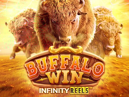 Buffalo Win Game Image