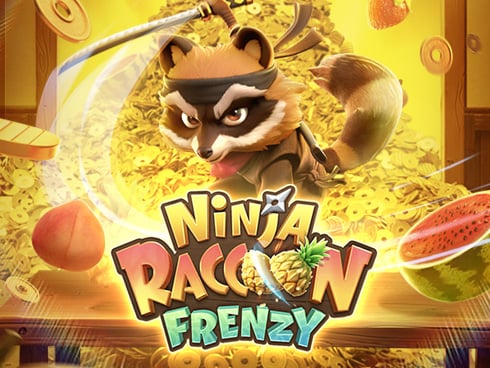 Ninja Racoon Frenzy Game Image