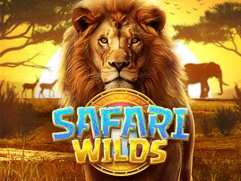 Safari Wilds Game Image