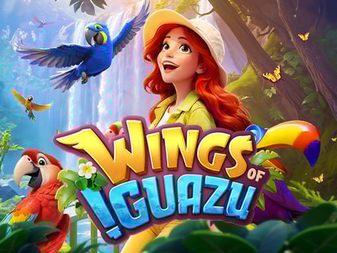Wings of Iguazu Game Image