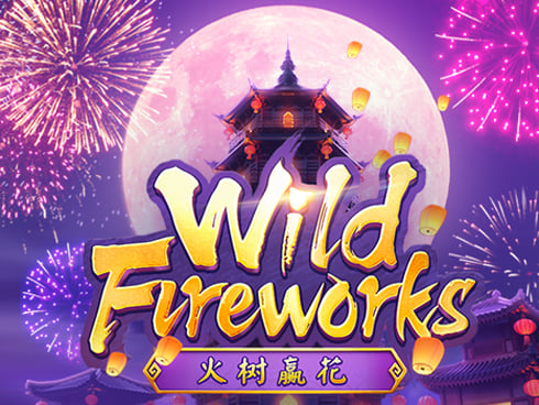 Wild Fireworks Game Image