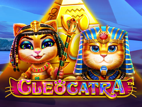 wt-pp cover image jpg