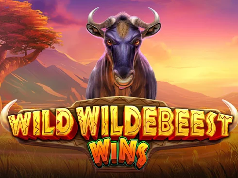 wt-pp cover image jpg